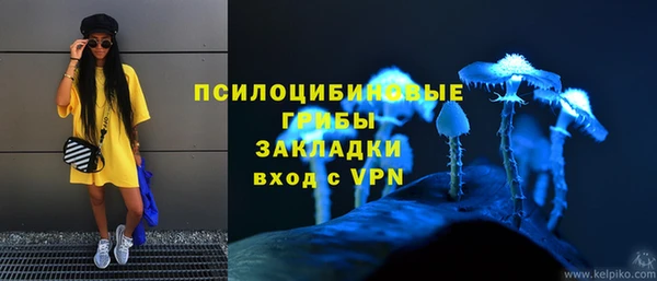 ПСИЛОЦИБИНОВЫЕ ГРИБЫ Остров