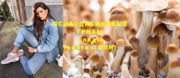spice Гусь-Хрустальный