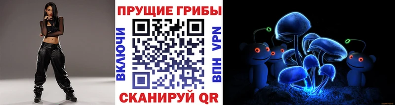 где купить наркоту Павловск Галлюциногенные грибы Psilocybe